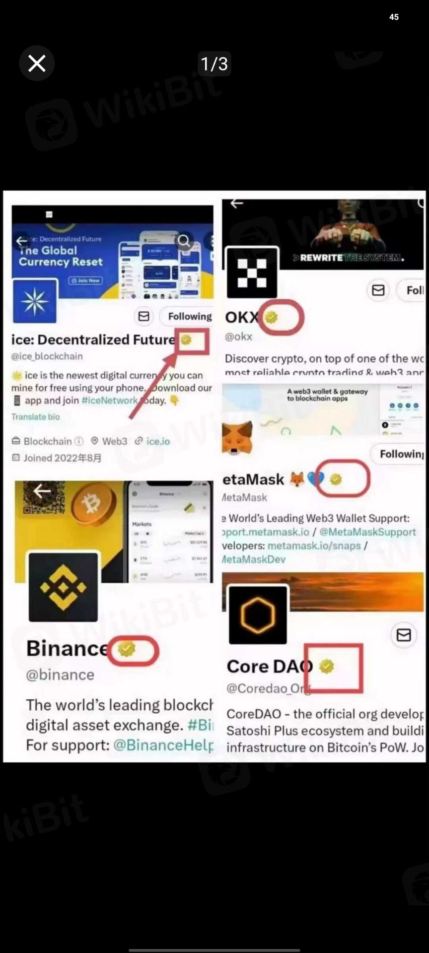 黑马公链ice雪人币2023必做火爆项目推特黄标认证已开源2024年10月主网上各大所-首码网-网上创业赚钱首码项目发布推广平台