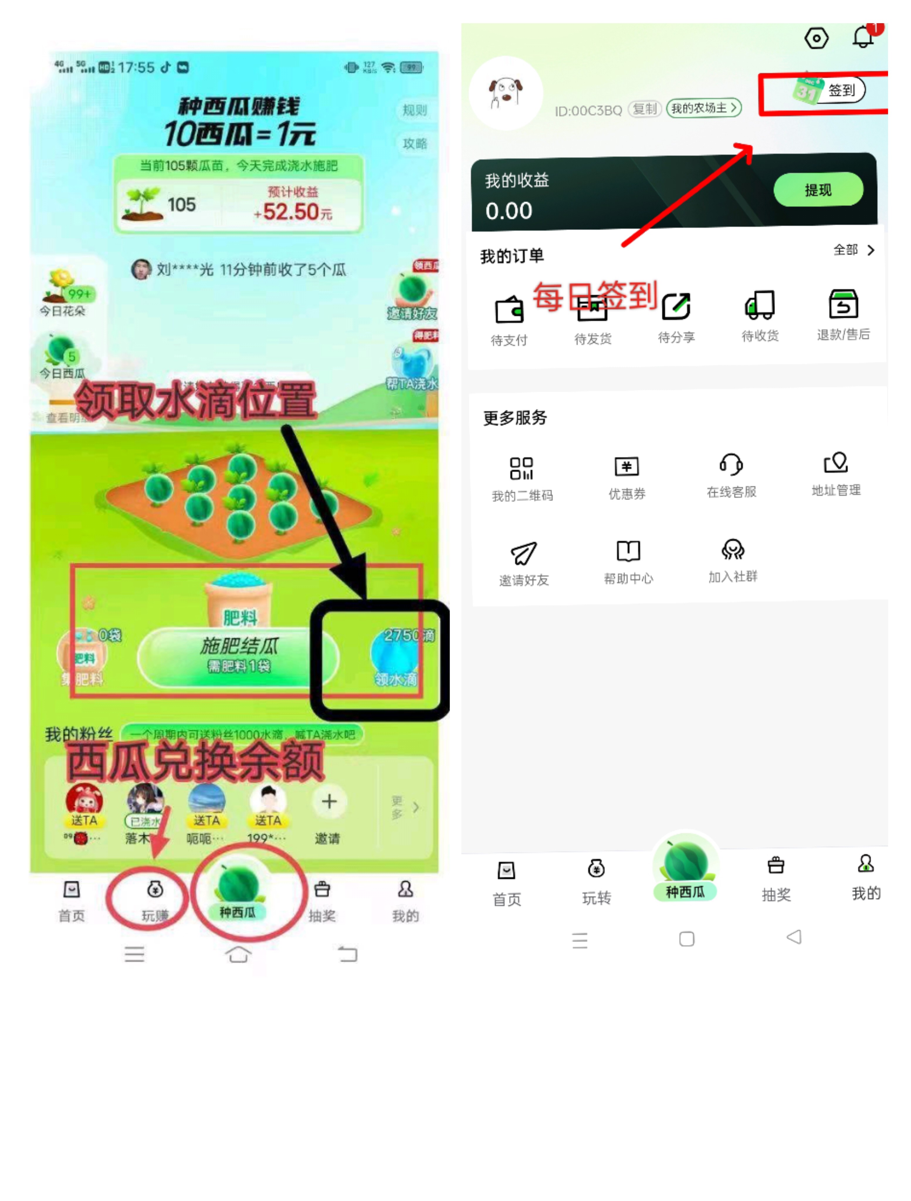西皮购，每天浇水施肥赚钱，项目一年多了